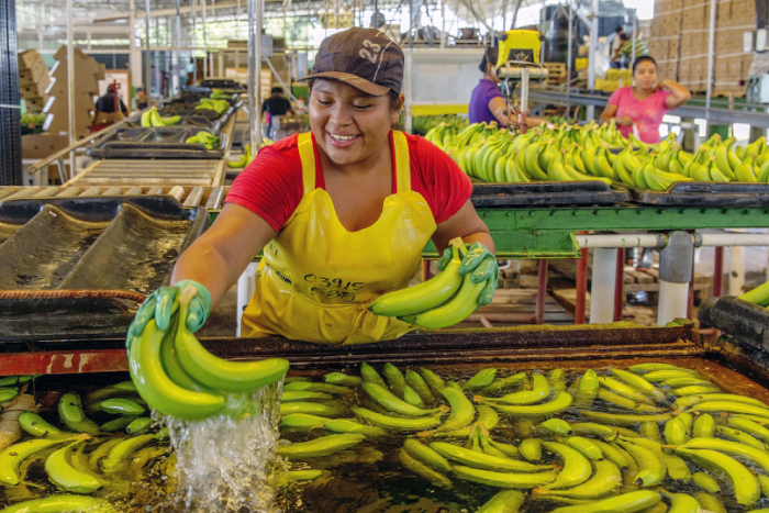 Die Herkunft der Produkte spielt bei FAIRTRADE eine große Rolle. Foto: FAIRTRADE