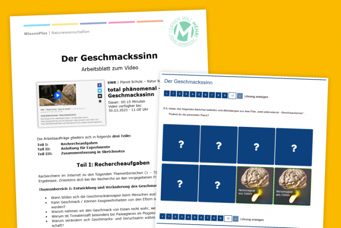 LERNEN WILL MEHR! Was jetzt - Für das Bearbeiten der Aufgabe stehen ein umfangreiches Arbeitsblatt und eine abweschlungsreiche interaktive Übung zur Verfügung