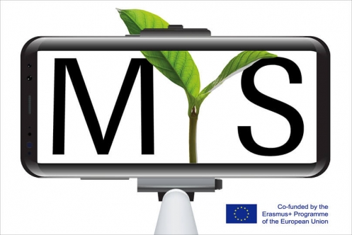 MEHR_wasjetzt_wp_MYS