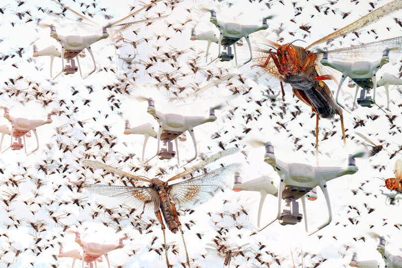 MEHR_wasjetzt_ Bionik