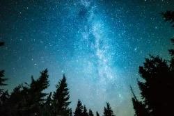 MEHR_wasjetzt_ Naturpädagogik Nachtexkursionen Umweltdachverband
