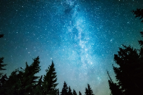 MEHR_wasjetzt_ Naturpädagogik Nachtexkursionen Umweltdachverband