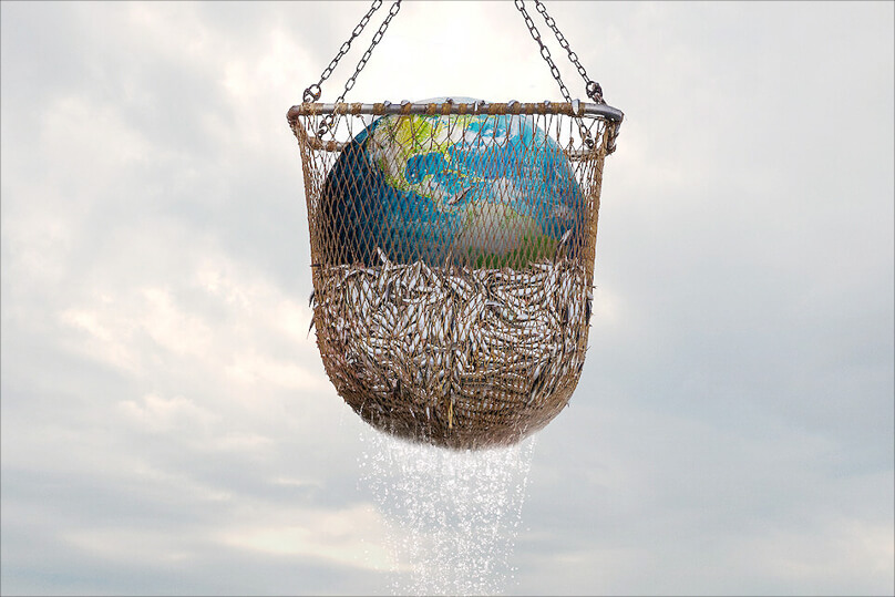 Hoelzel_wasjetzt_Seaspiracy