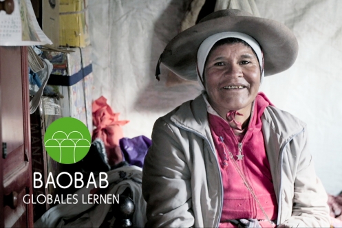 Hoelzel_wasjetzt_wp BAOBAB