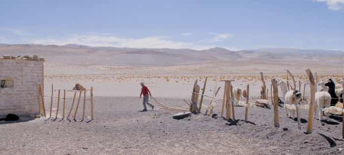 Oro Blanco Film Still 2 Baobab Unterrichtsmaterial