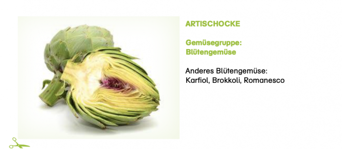 Unterrichtsmaterial GastroINKLUSIV Gemuese