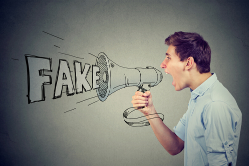 Hoelzel Journal | Saferinternet.at | Fake News